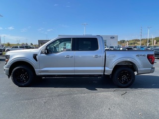 2025 Ford F-150 for sale in Dandridge TN