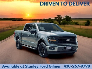 2024 Ford F-150 for sale in Dallas TX