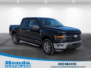 2024 Ford F-150 for sale in Cleveland TN