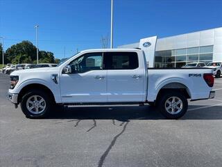 2024 Ford F-150 for sale in Dandridge TN