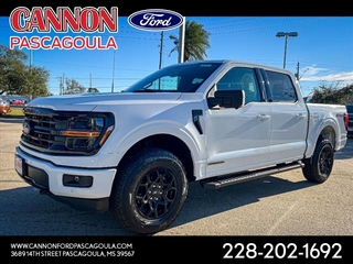 2024 Ford F-150 for sale in Orange TX