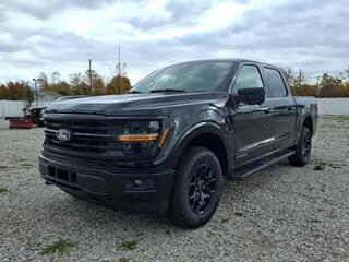2025 Ford F-150 for sale in Dundee MI