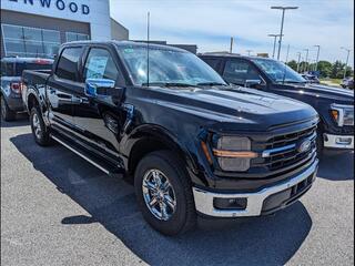 2024 Ford F-150 for sale in Bowling Green KY