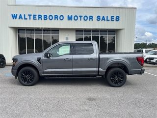 2024 Ford F-150 for sale in Walterboro SC