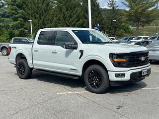 2024 Ford F-150 for sale in Canton NC