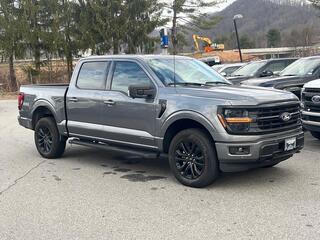 2025 Ford F-150 for sale in Canton NC