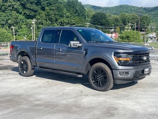 2025 Ford F-150 for sale in Waynesville NC