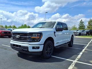 2025 Ford F-150 for sale in Dundee MI