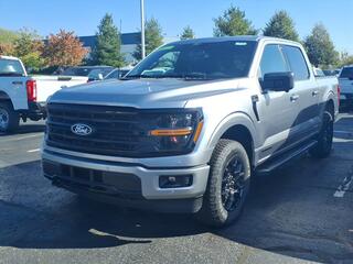 2025 Ford F-150 for sale in Dundee MI