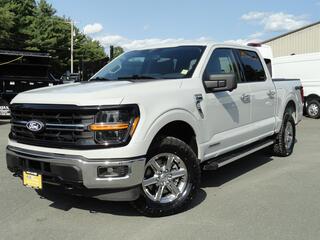 2024 Ford F-150 for sale in Millerton NY