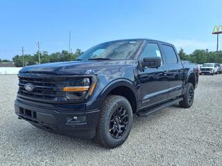 2025 Ford F-150 for sale in Dundee MI