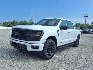 2025 Ford F-150 for sale in Dundee MI