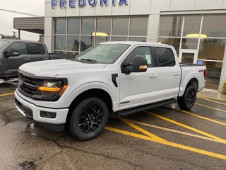 2025 Ford F-150 for sale in Fredonia NY