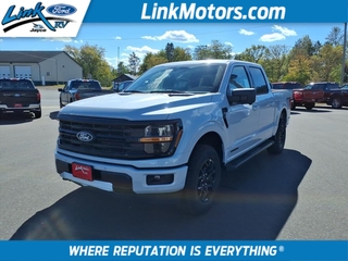 2025 Ford F-150 for sale in Minong WI