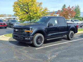 2025 Ford F-150 for sale in Dundee MI
