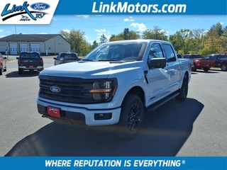 2025 Ford F-150 for sale in Minong WI