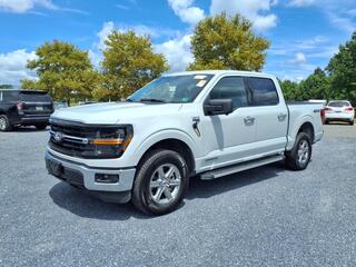 2024 Ford F-150 for sale in Homestead FL