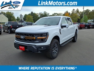 2025 Ford F-150 for sale in Minong WI