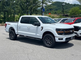 2025 Ford F-150 for sale in Canton NC