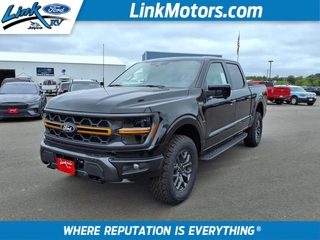 2025 Ford F-150 for sale in Minong WI