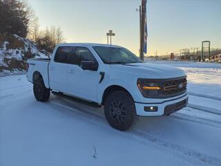 2025 Ford F-150 for sale in Ripley WV