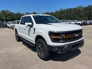 2025 Ford F-150 for sale in Dothan AL