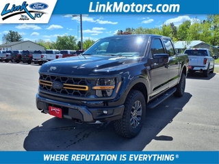 2025 Ford F-150 for sale in Minong WI