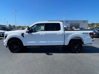 2025 Ford F-150 for sale in Dandridge TN