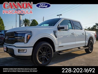 2024 Ford F-150 for sale in Orange TX