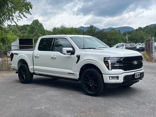 2025 Ford F-150 for sale in Canton NC