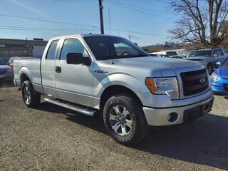 2013 Ford F-150 for sale in Washington PA