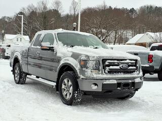 2014 Ford F-150 for sale in New Era MI