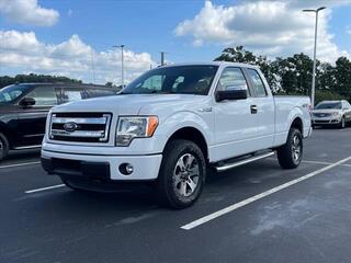 2014 Ford F-150 for sale in Dandridge TN