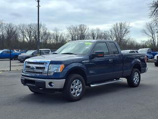 2014 Ford F-150 for sale in Woodhaven MI