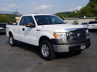 2014 Ford F-150 for sale in Summerville GA