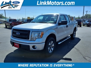 2014 Ford F-150 for sale in Minong WI
