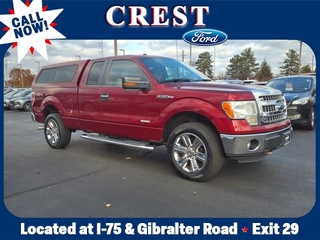 2013 Ford F-150 for sale in Flat Rock MI