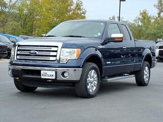 2014 Ford F-150 for sale in Linn MO