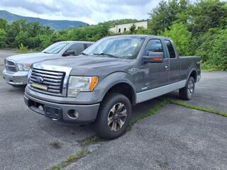 2011 Ford F-150 for sale in Pounding Mill VA