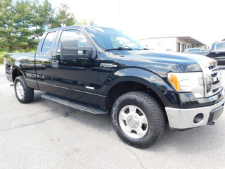 2011 Ford F-150 for sale in Clarksville TN