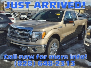 2013 Ford F-150 for sale in Canton NC