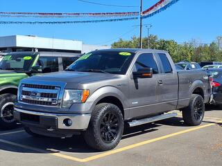 2014 Ford F-150 for sale in Woodhaven MI