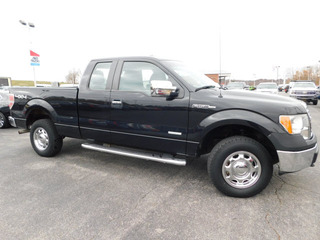 2013 Ford F-150 for sale in Clarksville TN