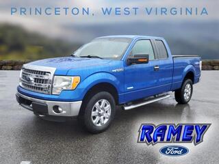 2013 Ford F-150 for sale in Princeton WV