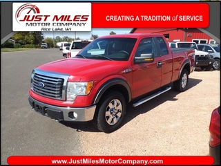 2010 Ford F-150 for sale in Rice Lake WI