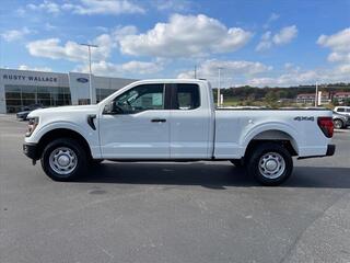 2024 Ford F-150 for sale in Dandridge TN