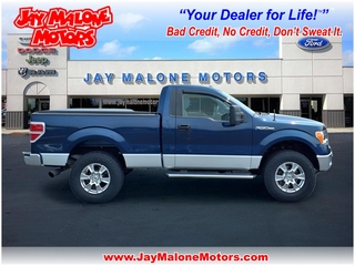 2013 Ford F-150 for sale in Hutchinson MN