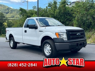 2013 Ford F-150 for sale in Waynesville NC