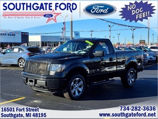 2013 Ford F-150 for sale in Southgate MI