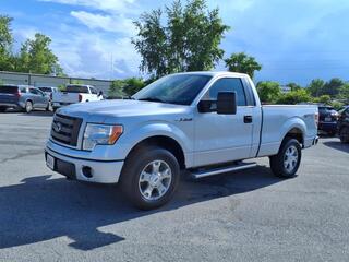 2010 Ford F-150 for sale in Johnson City TN